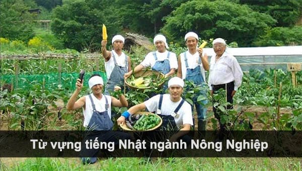 Phụ đề đôi hỗ trợ luyện thi Tokutei ngành thực phẩm: Cách học tiếng Nhật thực tế