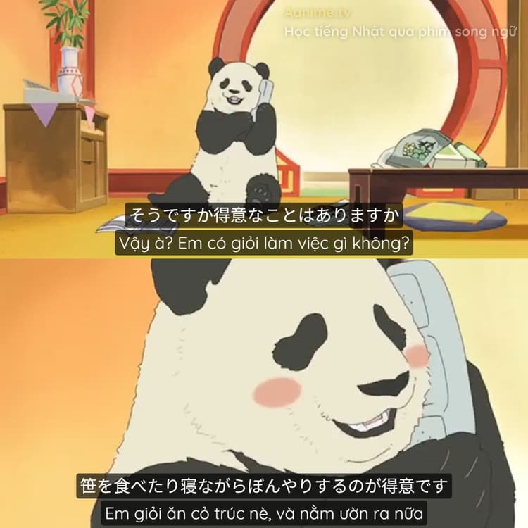 Vì sao bạn học rất chăm nhưng vẫn không giao tiếp được