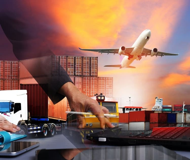Cách tìm việc tại Nhật cho người Việt mới sang: Từ cú sốc văn hóa đến chiến lược xin việc thực tế